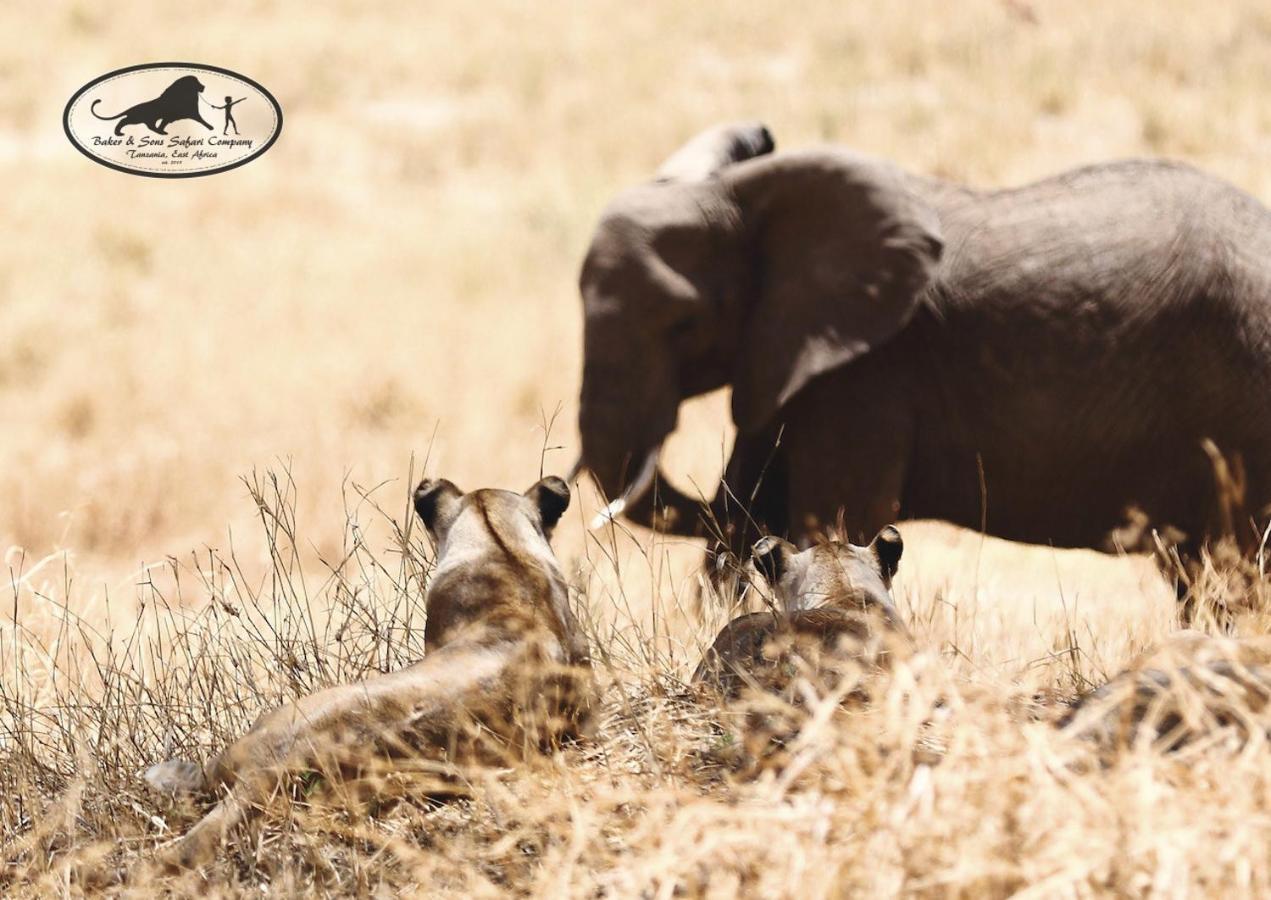 Вилла Baker Safari Company Kwangwazi Экстерьер фото