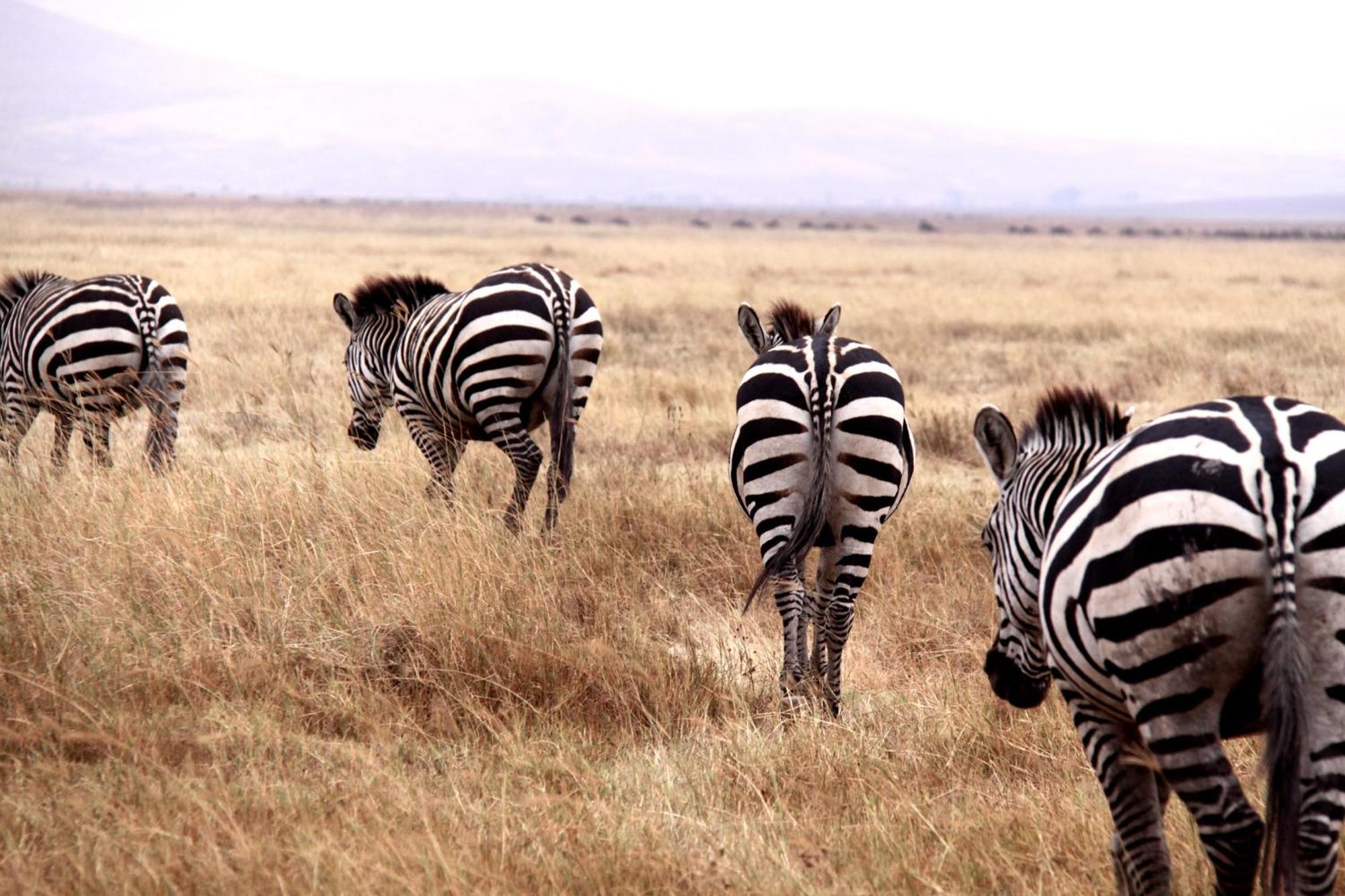 Вилла Baker Safari Company Kwangwazi Экстерьер фото